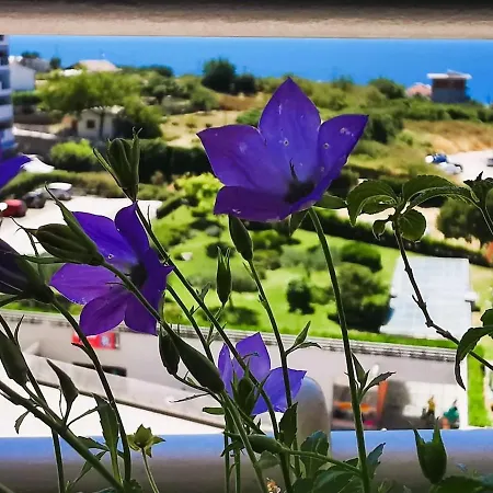 Seaside Oasis Apartamento