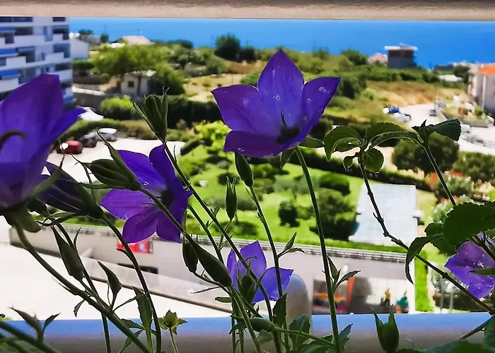 Seaside Oasis Apartmán